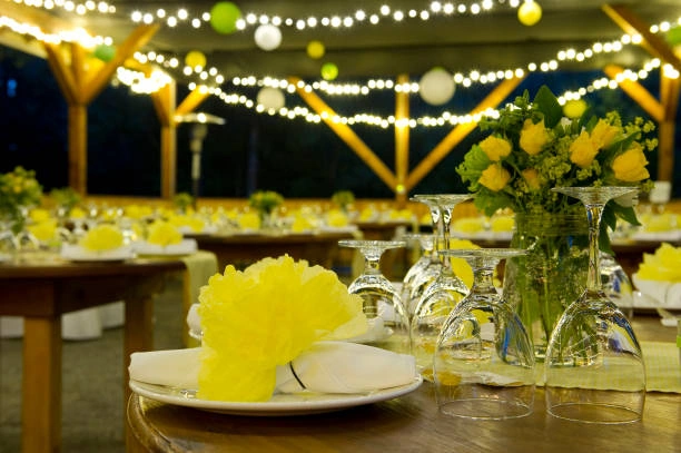 Decoração para festa de confraternização de empresa em Goiás